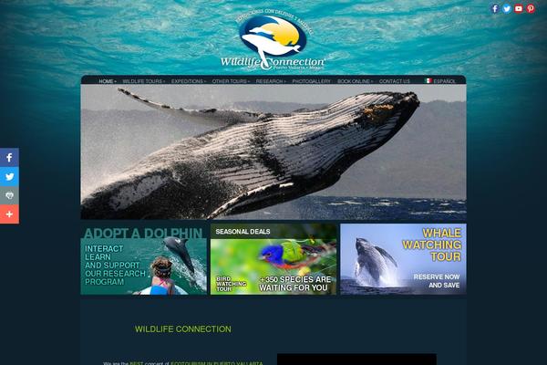 Dandelion_v2.6.6 theme site design template sample