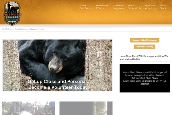 Site using Livecart-by-wp-engine plugin