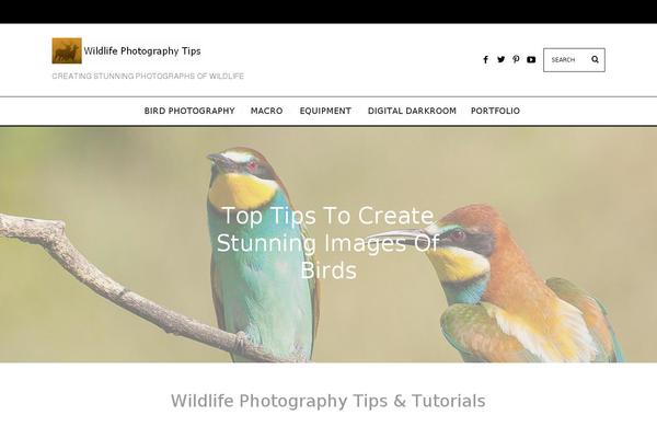 Site using Before After Image Slider Lite plugin