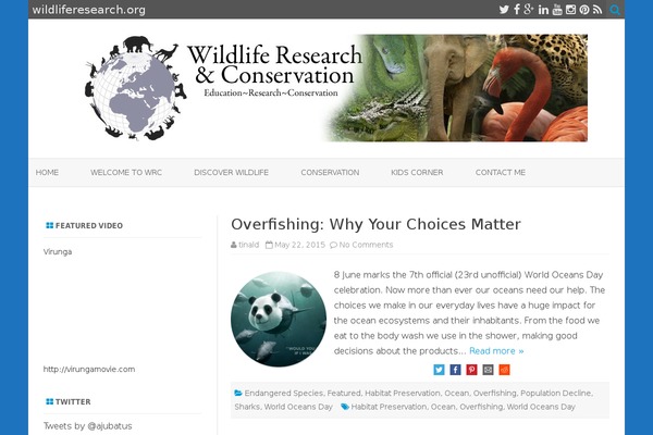The Minimal theme site design template sample