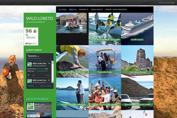Xenon theme site design template sample