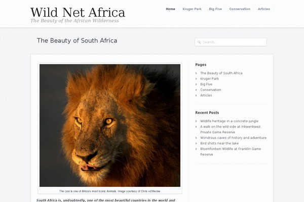Kaboodle theme site design template sample