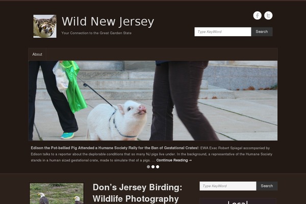 Site using Facebook Comments Notifier plugin