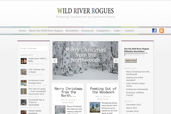 Magnificent theme site design template sample