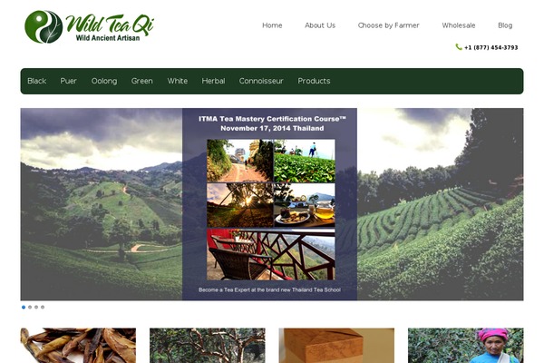 Enterprise Pro theme site design template sample