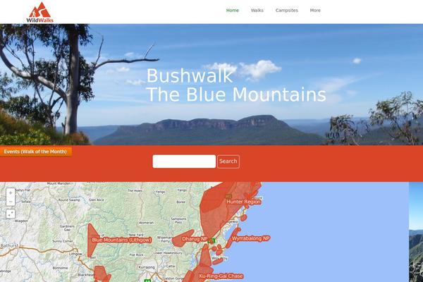 Site using Page Builder by SiteOrigin plugin