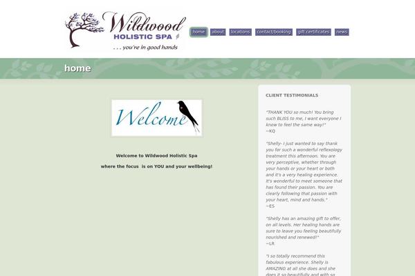 Optimize theme site design template sample