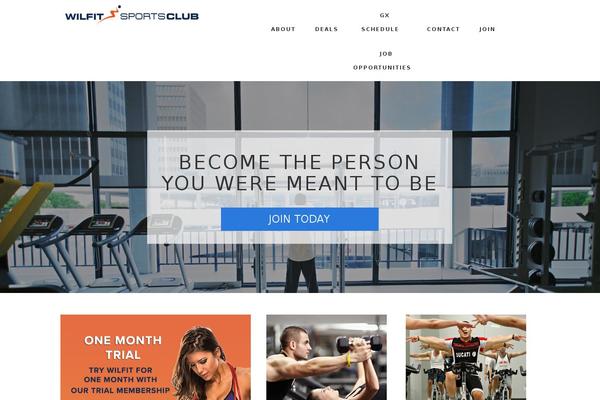 Site using WP Blog and Widget plugin