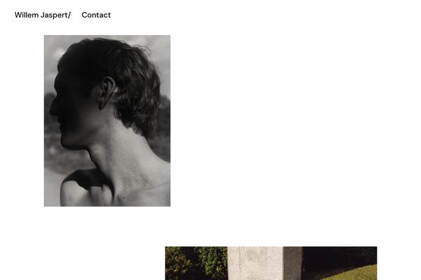 Site using Qode-framework plugin