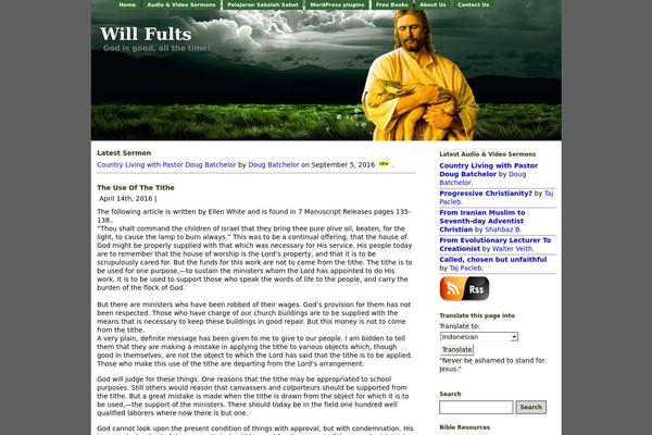 willfults.com site used Shinygreen
