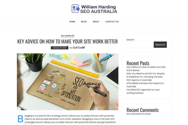 Fascinate theme site design template sample