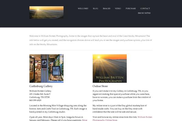 Site using WP-PostViews plugin