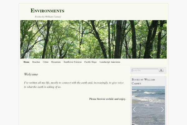 Site using Alewb Image Widget plugin