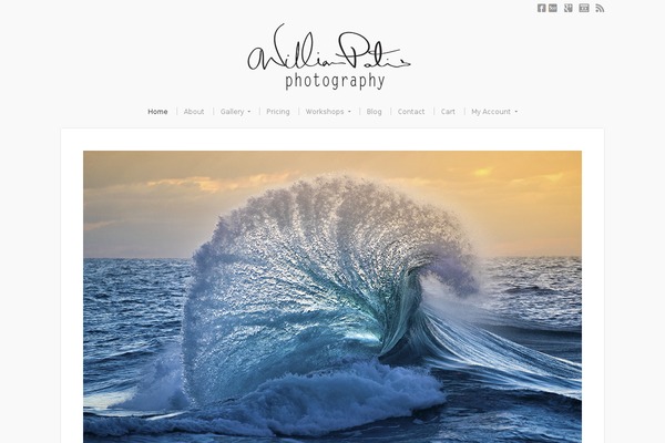 williampatino.com site used 2015-williampatino