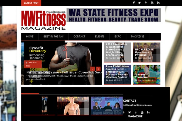 ProfitMag theme site design template sample