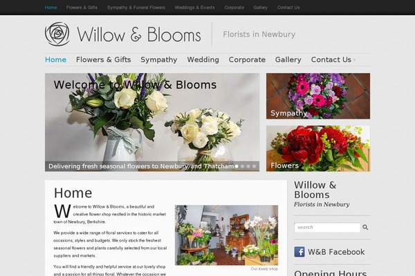 Website theme site design template sample