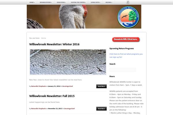 Sukelius-magazine theme site design template sample