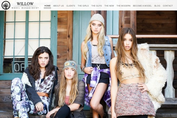 Willow theme site design template sample