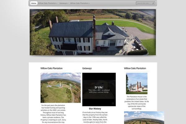 TheProfessional theme site design template sample