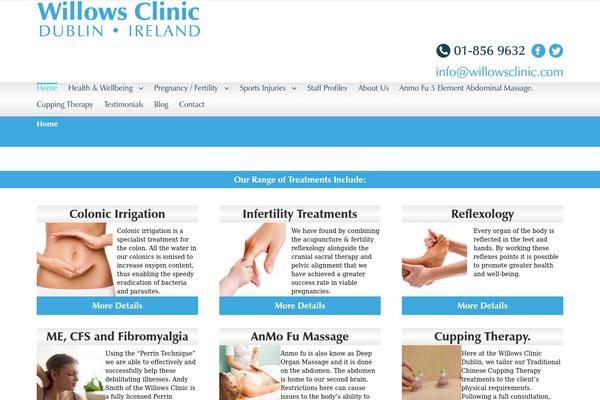 Site using Wp-social-feed plugin