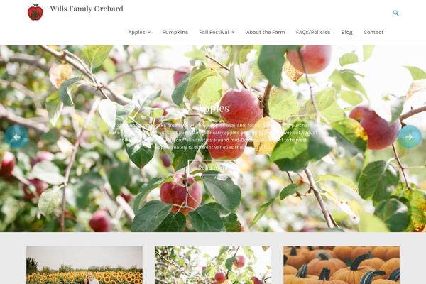 Radiate theme site design template sample