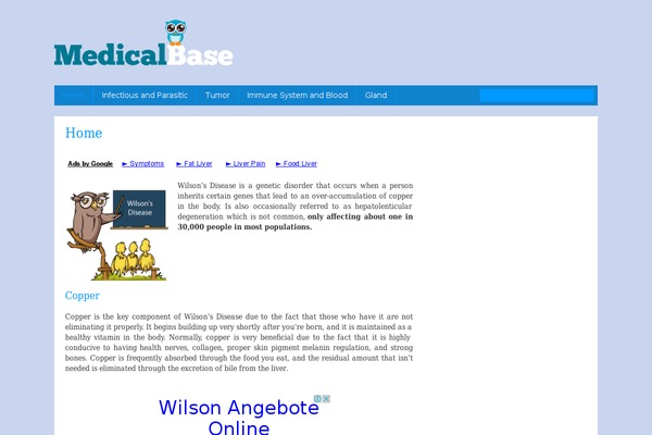 ColorSnap theme site design template sample