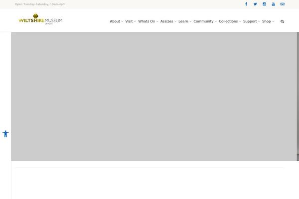 Site using Simple Twitter Tweets plugin