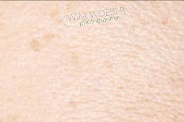 907 (NineZeroSeven) theme site design template sample