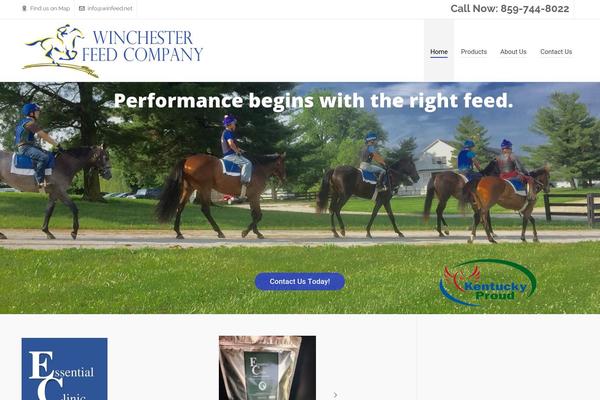 Highend theme site design template sample