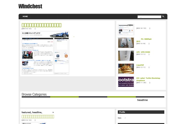 WordPress website example screenshot