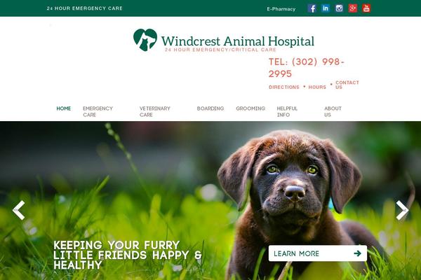 animal-hospital-sites theme websites examples