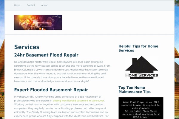 Focus Pro theme site design template sample