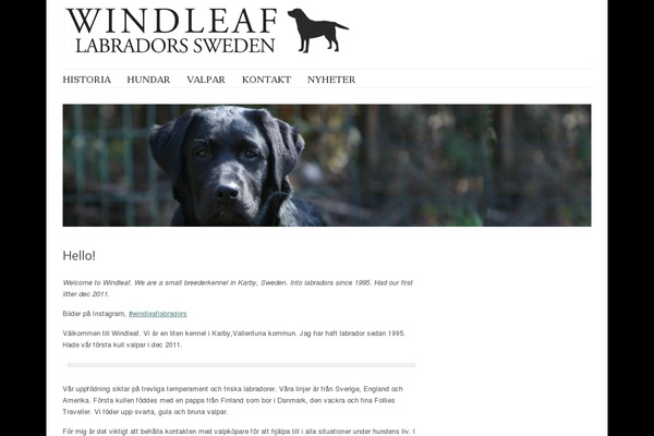 windleaf.se site used Delicate