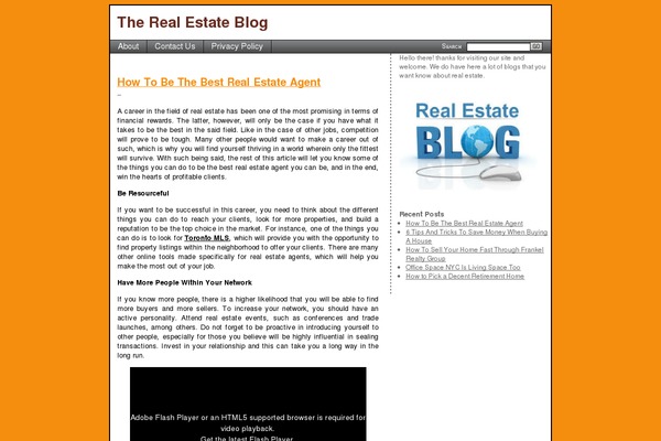 SEO Basics theme site design template sample