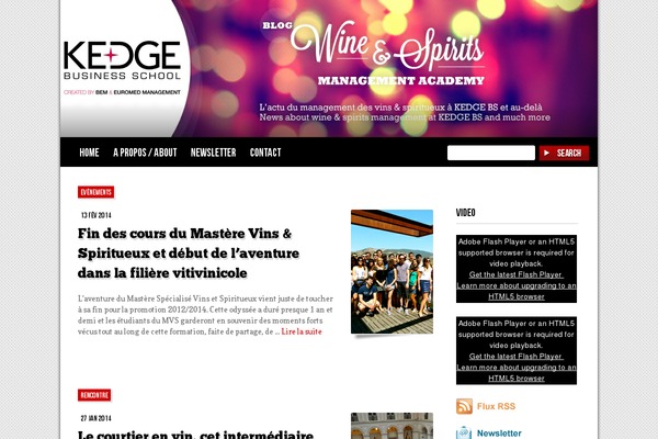 Resolution theme site design template sample