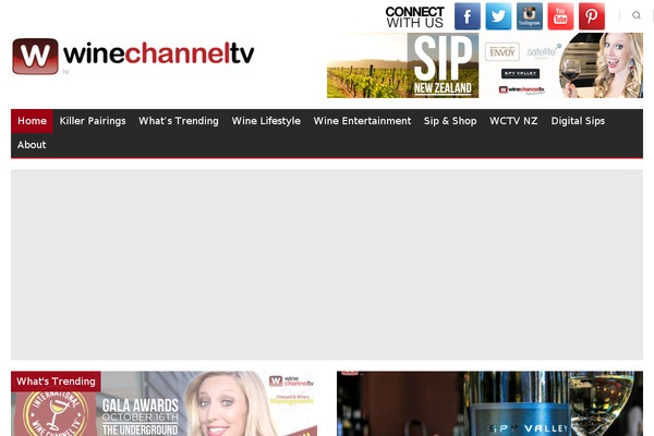 wctv_child WordPress theme, websites list used wctv_child theme wctv_child theme websites examples