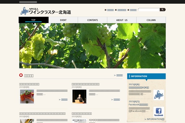 Pacific theme site design template sample