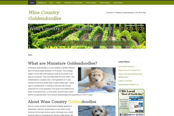 Site using Viper's Video Quicktags plugin