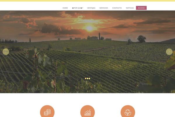 Gold-wp theme site design template sample