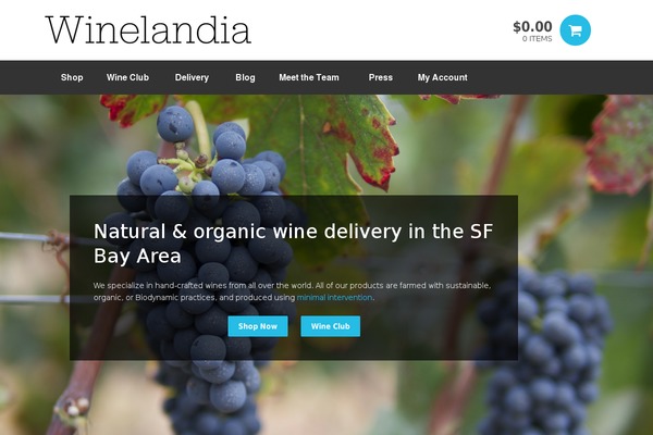 Peddlar theme site design template sample