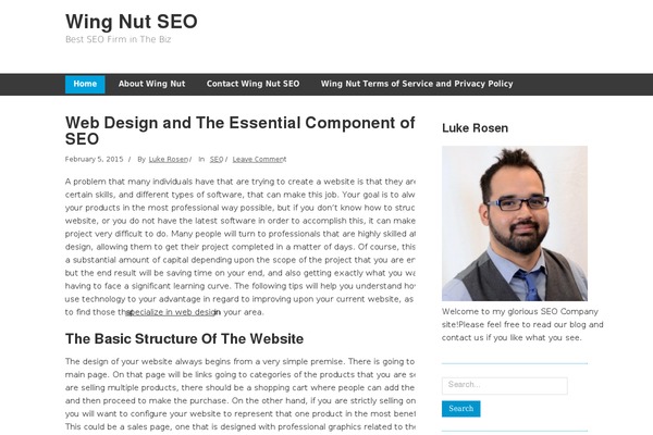 Minn Lite theme site design template sample