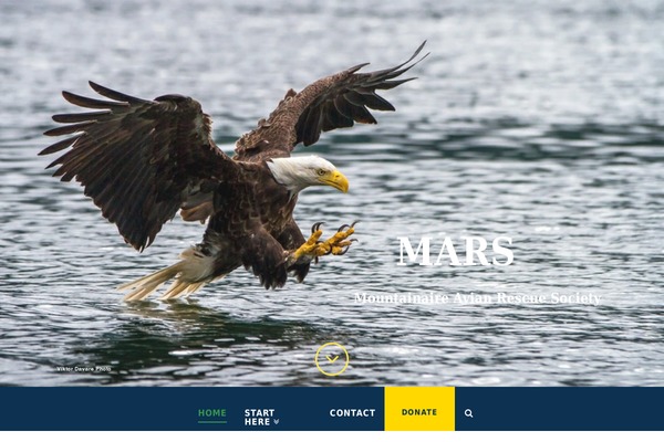 Divi theme site design template sample