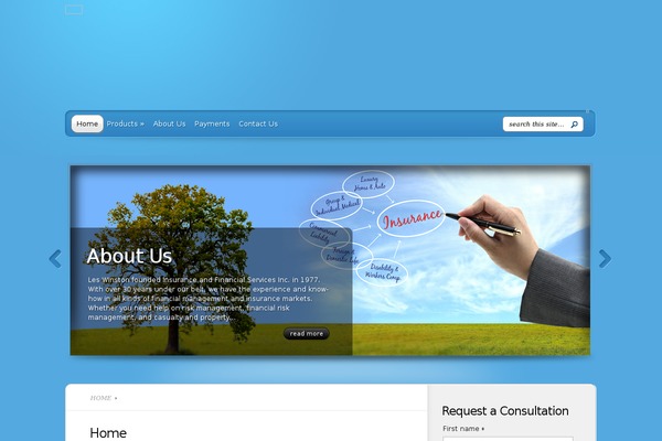 winifs.com site used TheProfessional