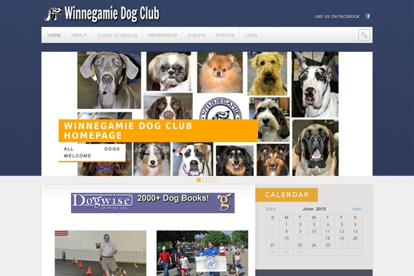 Site using Display posts in grid layout without coding - Content Views plugin