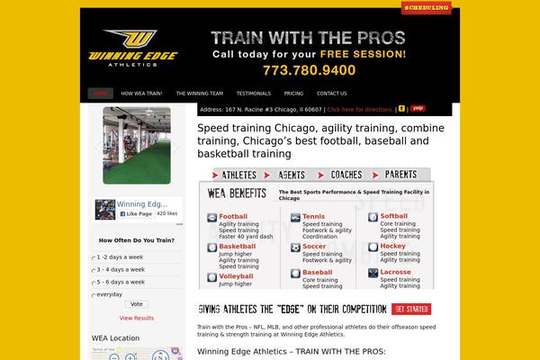 Basic theme site design template sample