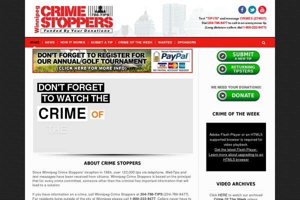 Pinpoint theme site design template sample
