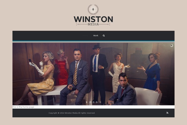 Vivacity theme site design template sample