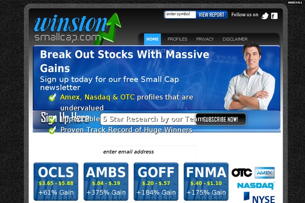 Winston theme site design template sample