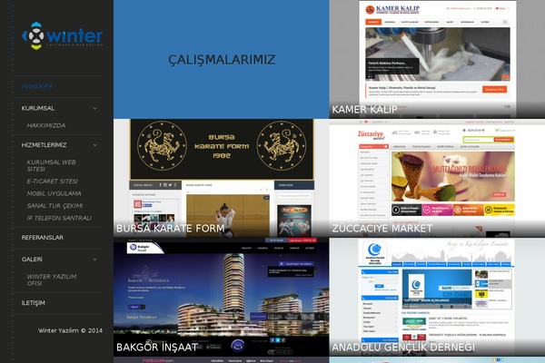 Site using Radiantthemes-mega-menu plugin