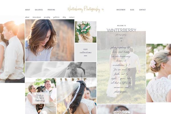 ProPhoto 5 theme site design template sample